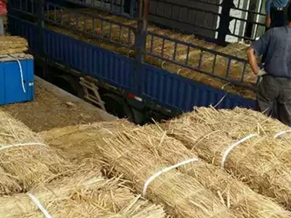 不會使用條形草支墊，建學草編制品來教你