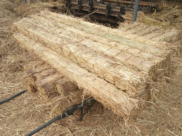 如何正確使用草支墊？